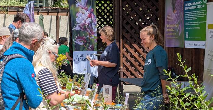 Marktstand an der Pflanzentauschbörse