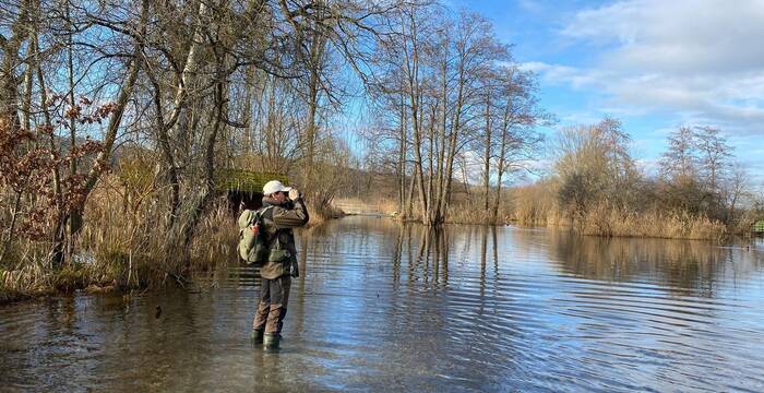 Ranger am Baldeggersee