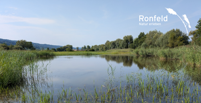 Ronfeld Flutmulden. Foto: Samuel Ehrenbold