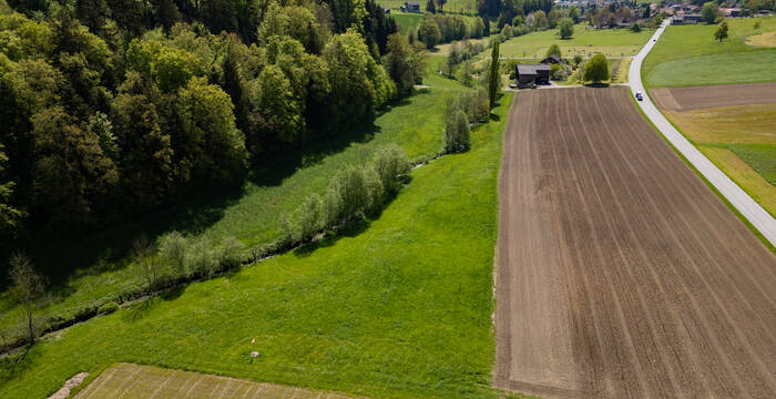 Übersicht über das Projektgebiet. Foto: Roman Willi