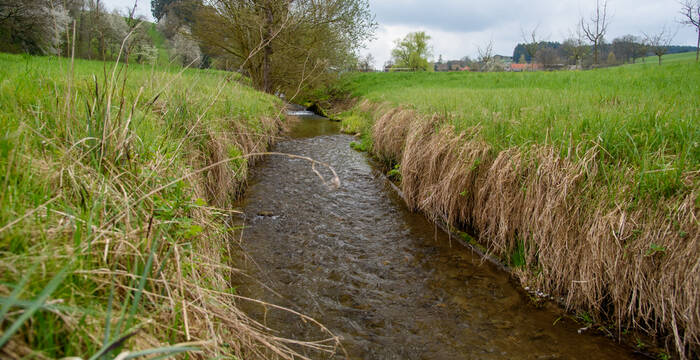 Heute verläuft die Pfaffnere auf weiten Strecken monoton. Foto: zvg
