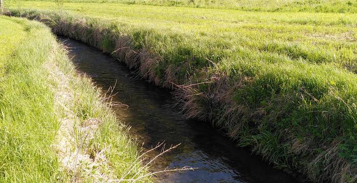 So soll die Pfaffnern künftig nicht mehr aussehen. Foto: Miriam Peretti