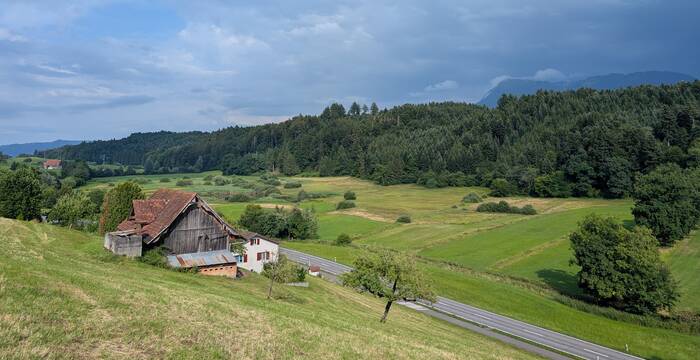 Landschaft bei Luzern. Foto: Samuel Ehrenbold