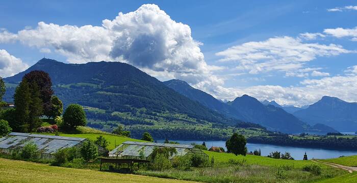 Vierwaldstättersee