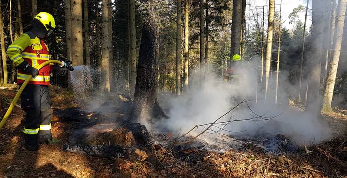 Waldbrand. Quelle: Feuerwehr Meggen