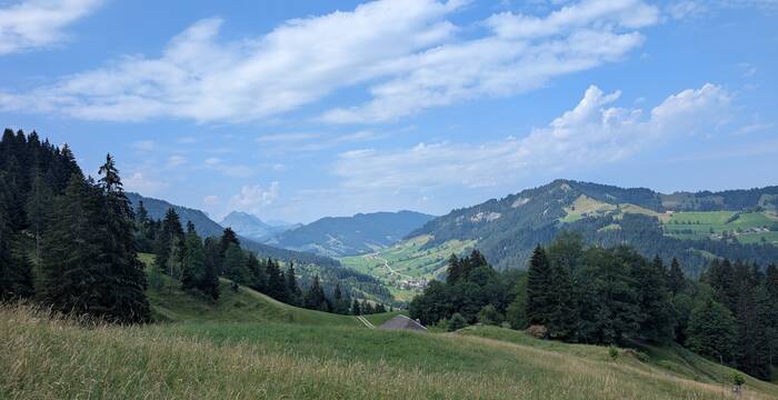 Ritere, Marbach. Foto: Samuel Ehrenbold