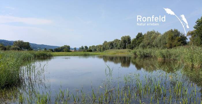 Blick übers Ronfeld