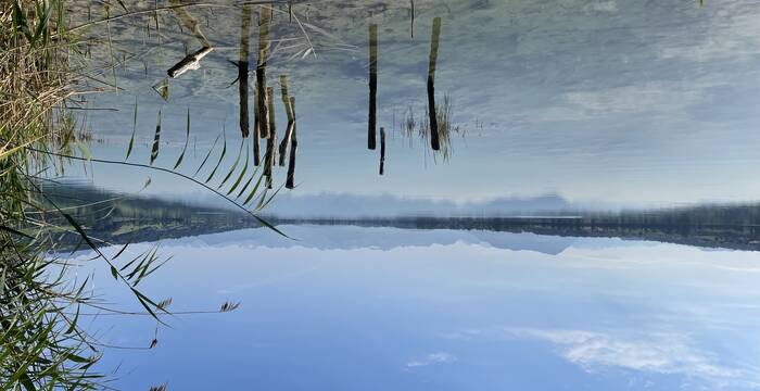 Baldeggersee mit tiefem Pegelstand