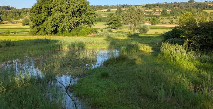 Blick aus dem Hide. Foto: Samuel Ehrenbold