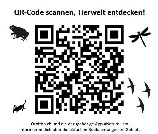 QR-Code Scannen_Hide