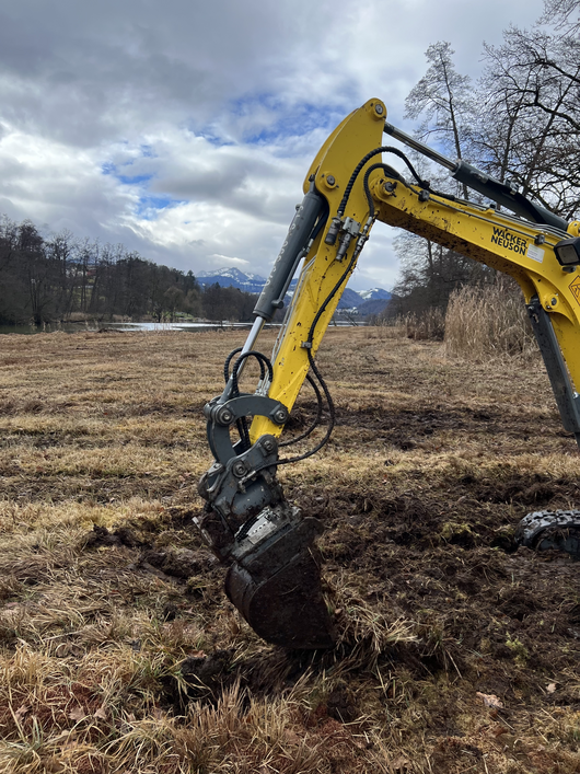 Wurzeln ausbaggern am Rotsee