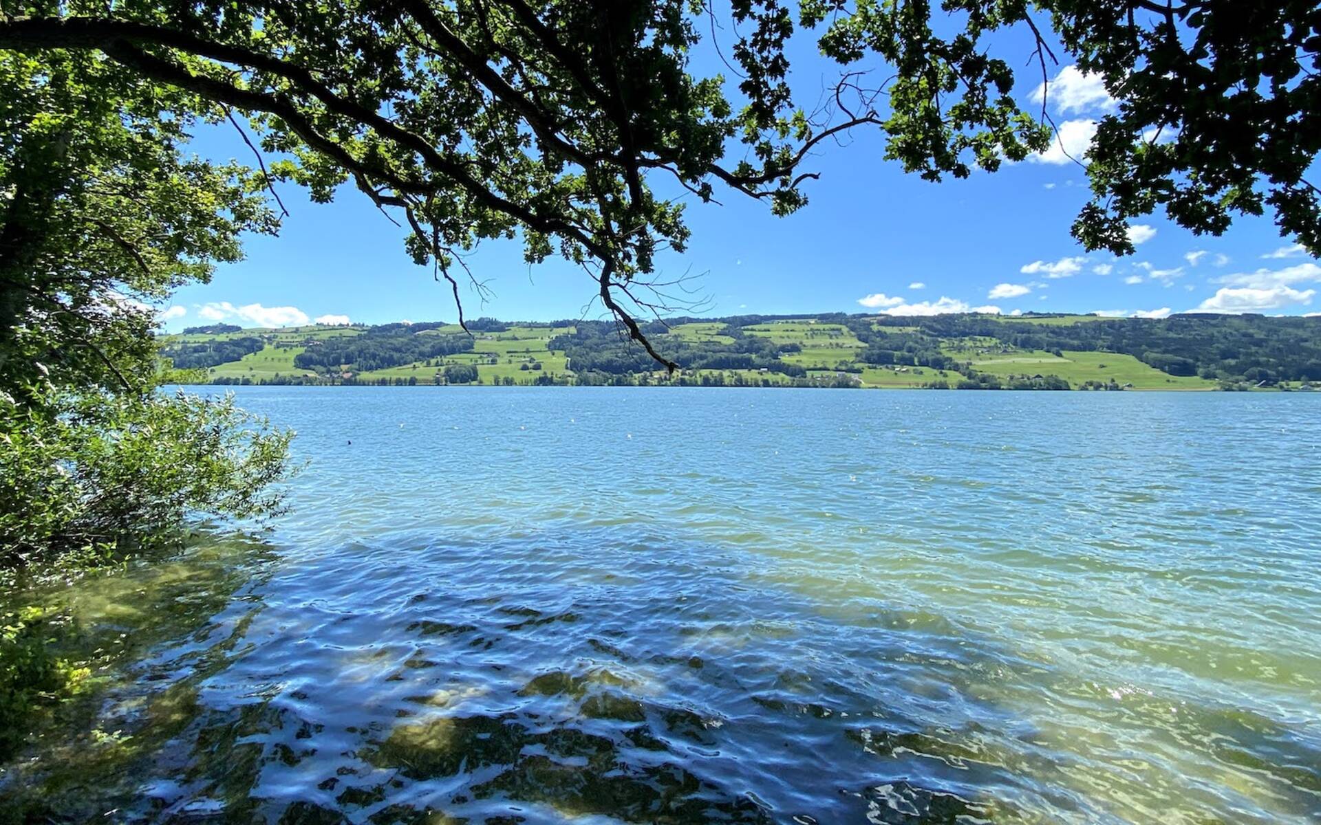 Baldeggersee - Foto: Peter Wyss