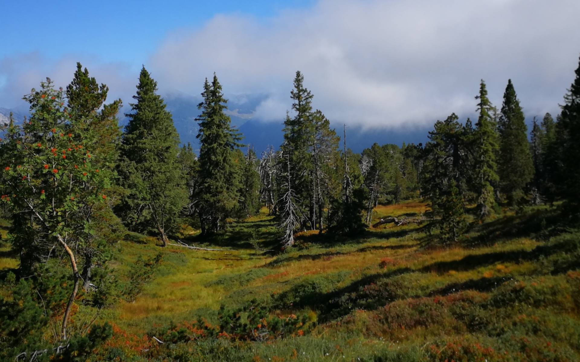Haglere © Samuel Ehrenbold