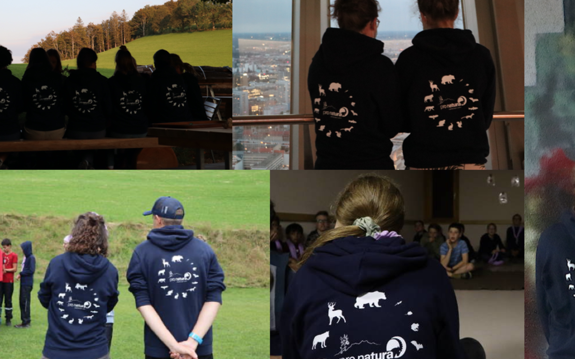 Pullover Jugendgruppe
