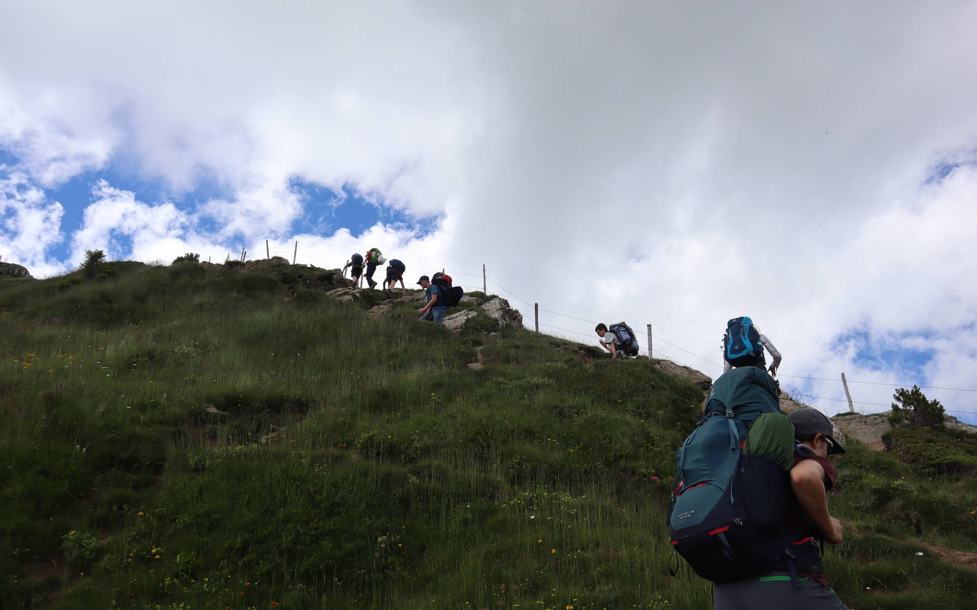 Der Duft der Bergwelt