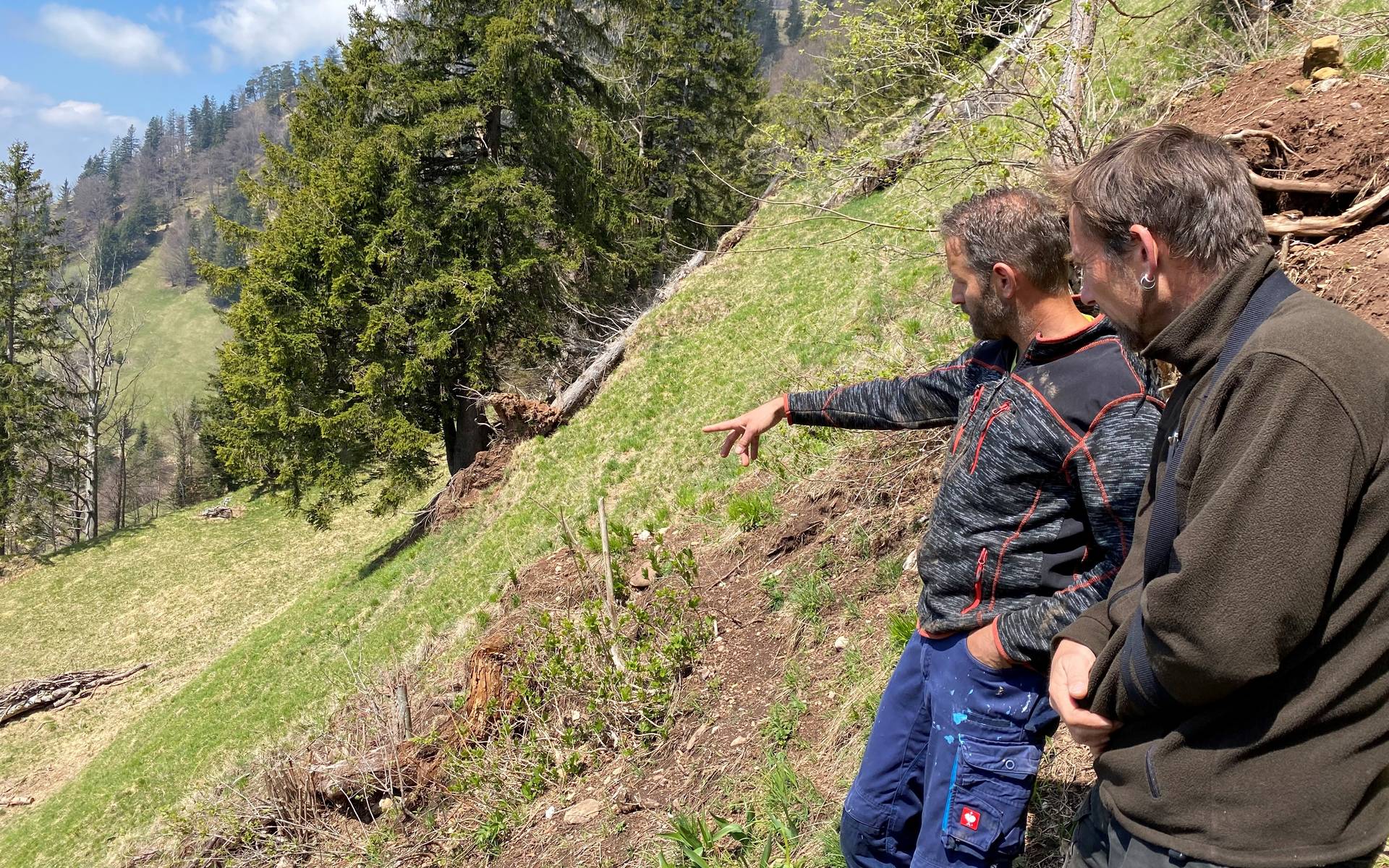 Kulturlandschaft Rigi. Foto: : Fabian Haas, WWF