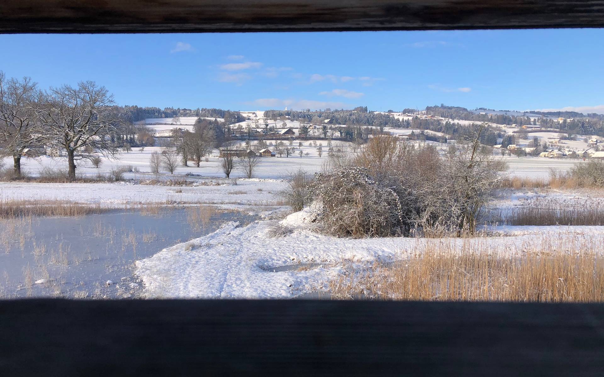 Ronfeld im Winter