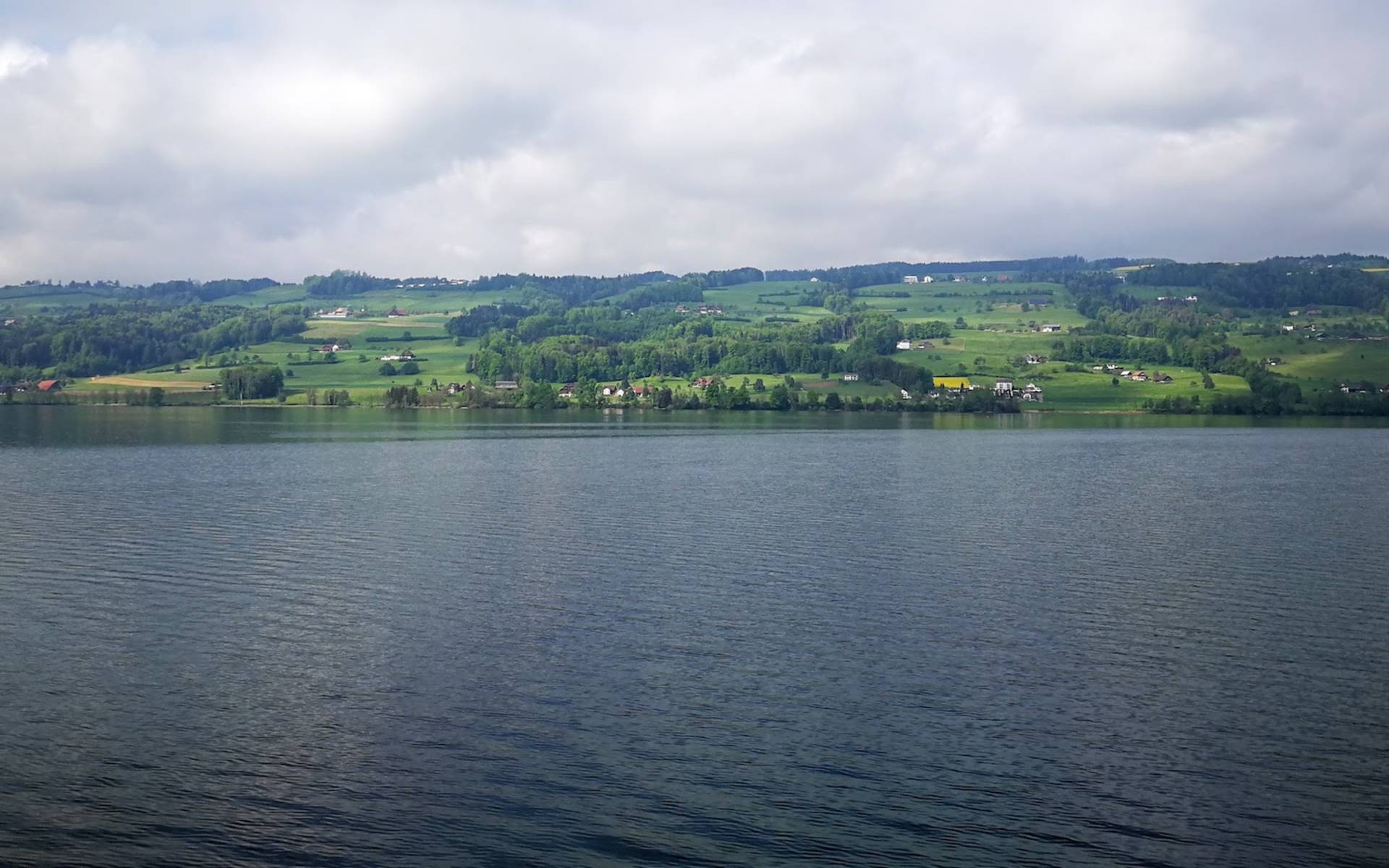 Baldeggersee - die Idylle trügt. Foto: Samuel Ehrenbold