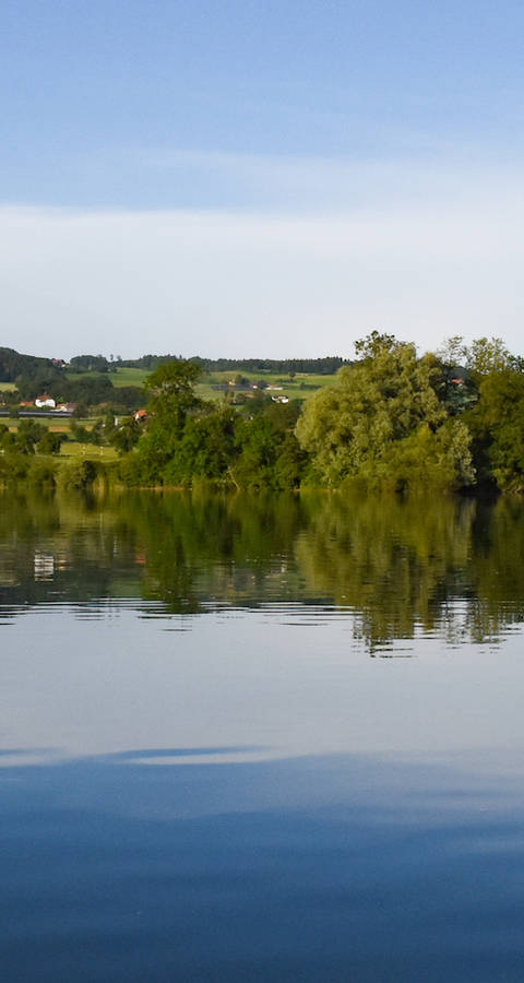 Baldeggersee - Foto: Niklaus Troxler