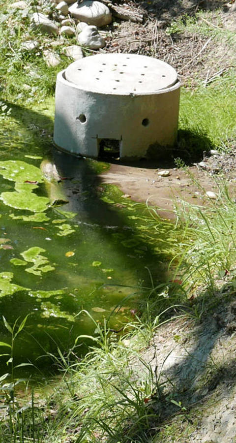 Ein neu erstellter Tümpel sammelt das Quellwasser der beiden Quellen. Der Überlauf des Tümpels befindet sich im Schacht.