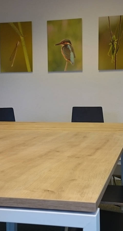 Situngszimmer Pro Natura Luzern