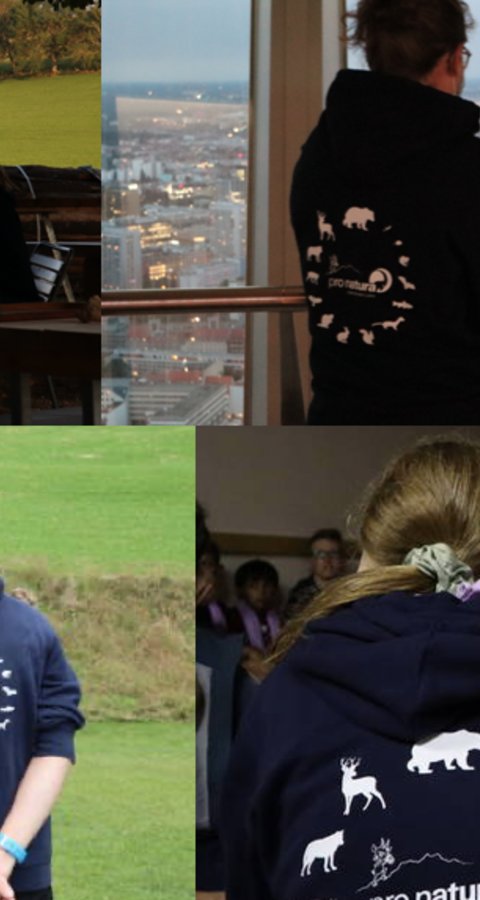 Pullover Jugendgruppe
