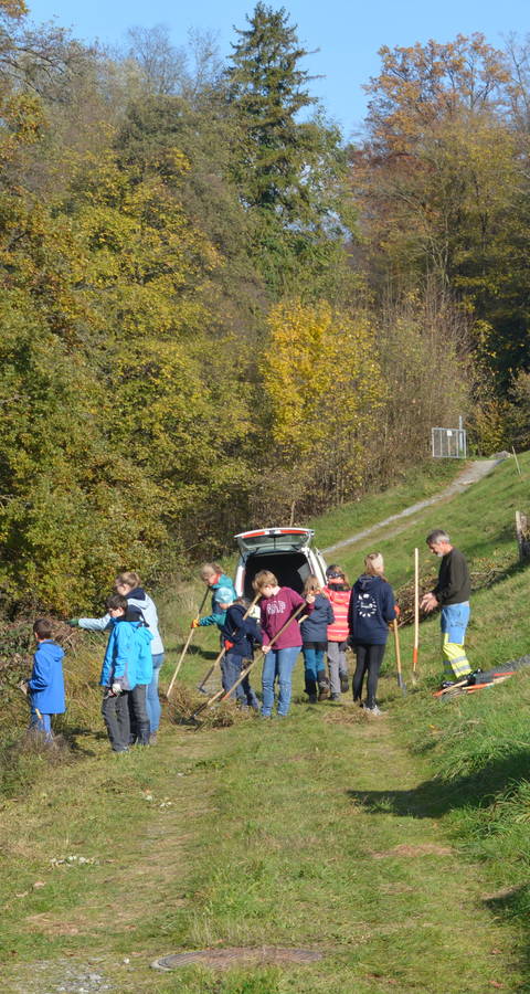 Arbeitseinsatz November 2021