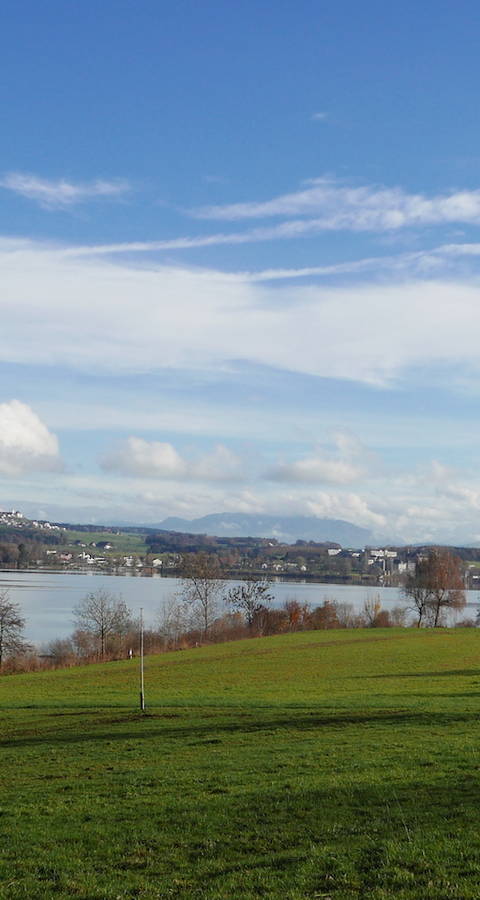 Westseite des Baldeggersees - Foto: IG Weitsicht