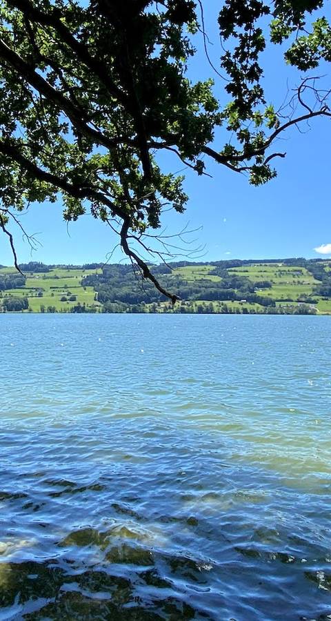 Baldeggersee - Foto: Peter Wyss