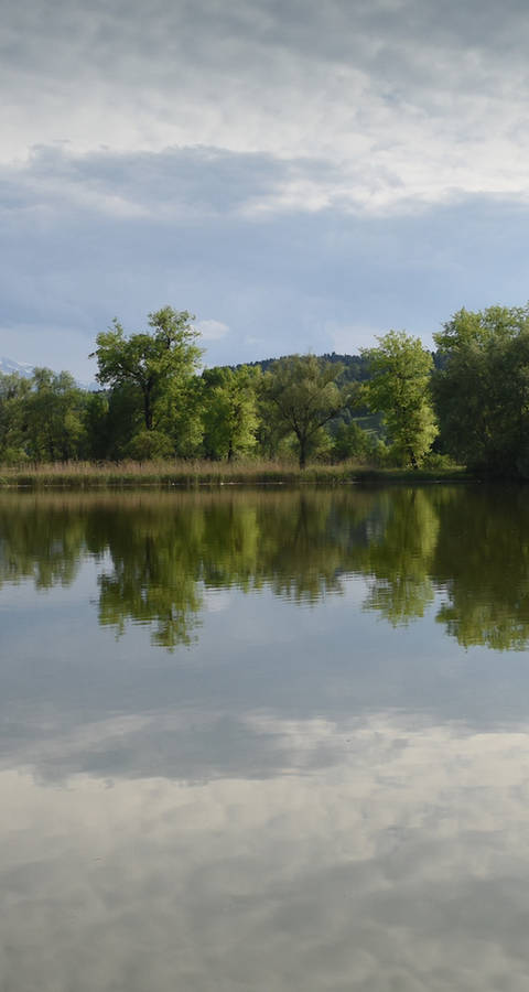 Baldeggersee bei Baldegg - Foto: Pro Natura Luzern
