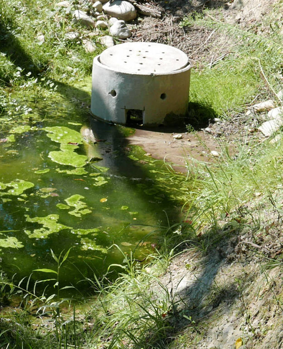 Ein neu erstellter Tümpel sammelt das Quellwasser der beiden Quellen. Der Überlauf des Tümpels befindet sich im Schacht.