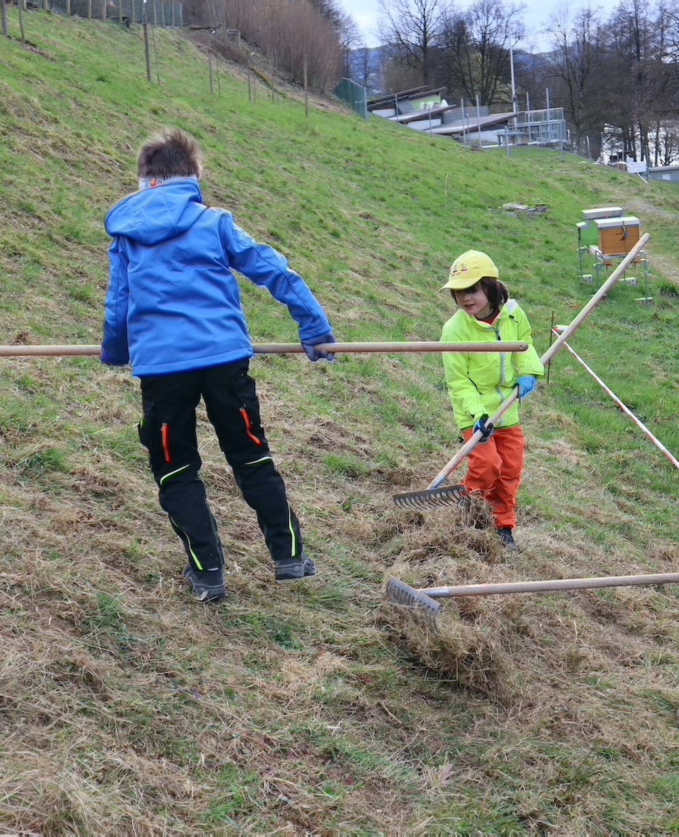 Astschere, Laubhaufen und Co.