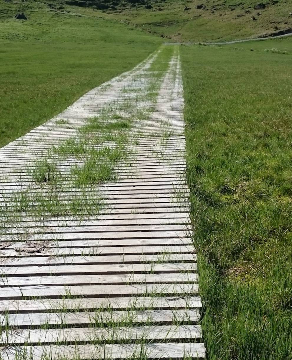 Lauenberg. Foto: Pro Natura Luzern