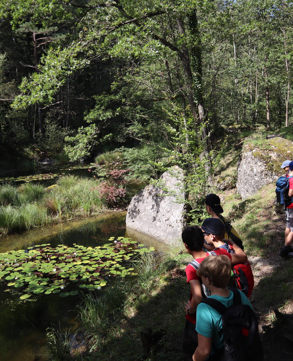 Auf den Spuren der Moorlandschaft