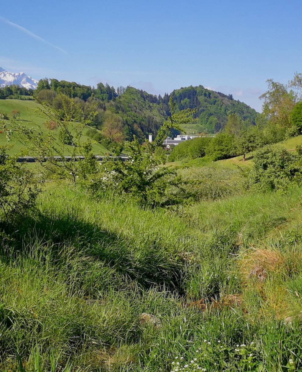 Lettenbach Adligenswil - Foto: Samuel Ehrenbold