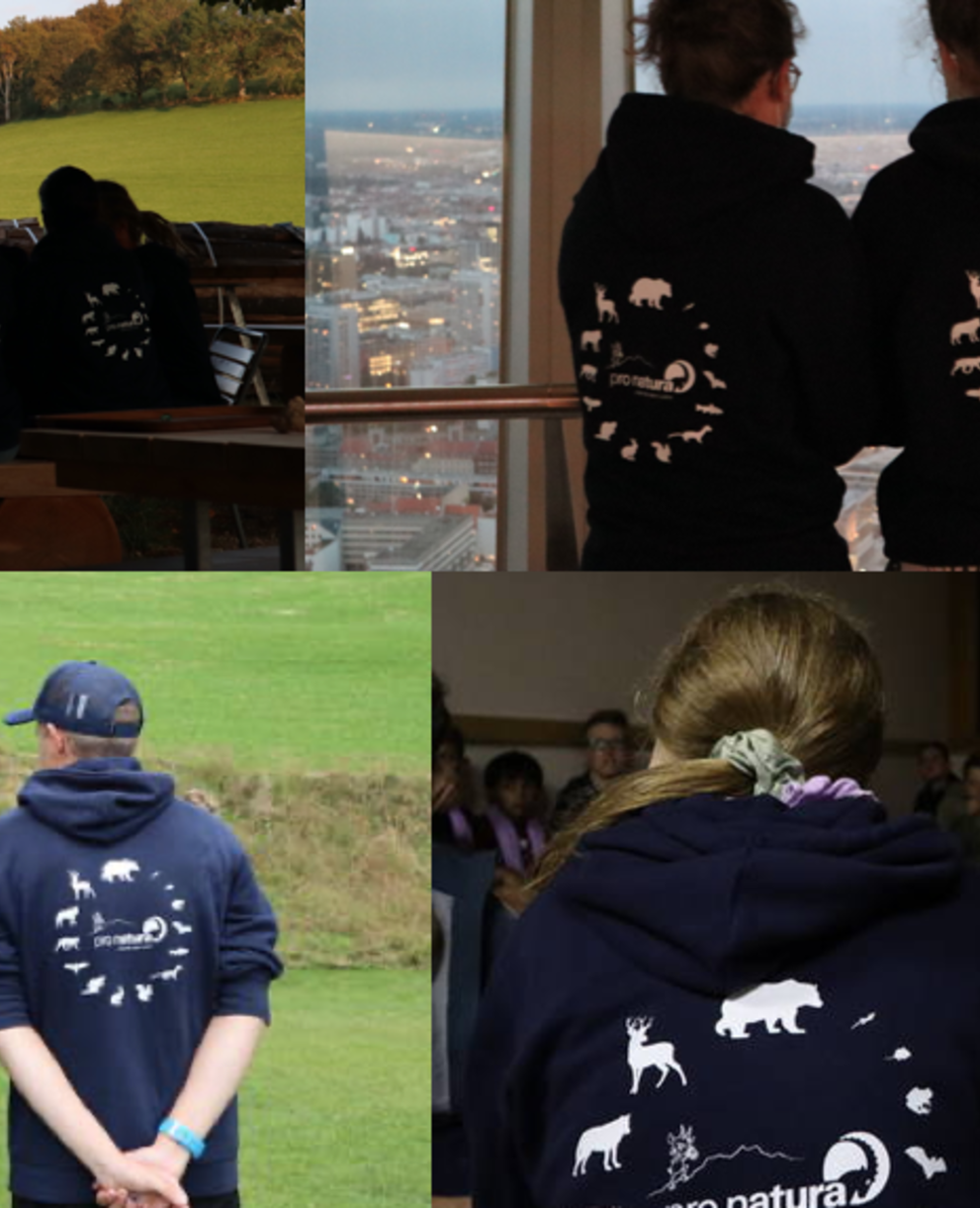 Pullover Jugendgruppe