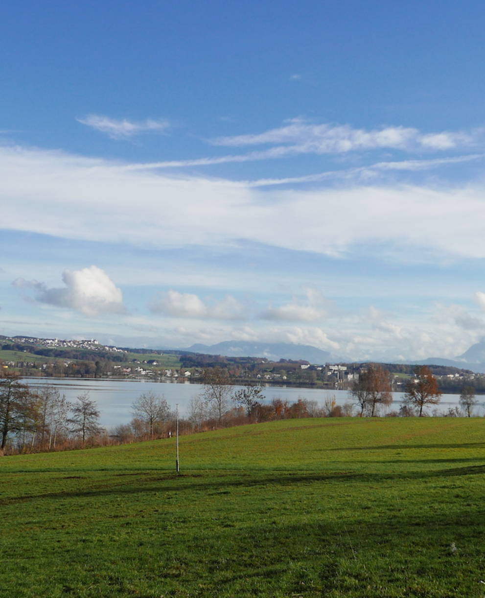 Westseite des Baldeggersees - Foto: IG Weitsicht