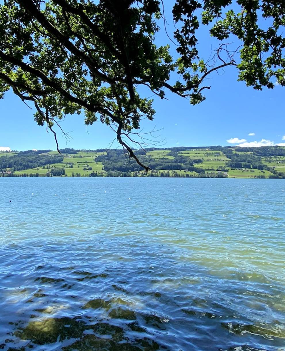 Baldeggersee - Foto: Peter Wyss