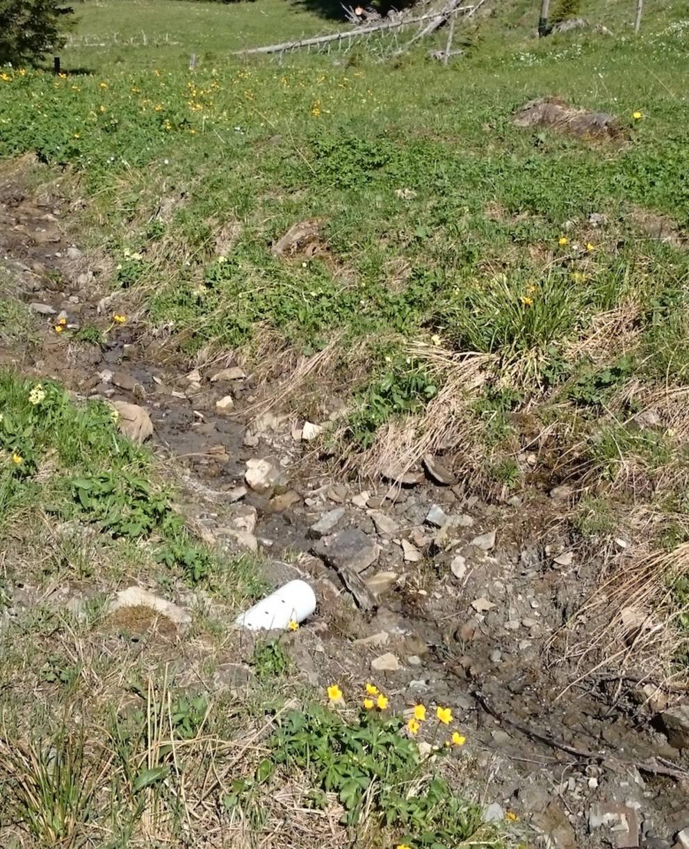 Alperschliessung Lauenberg - Foto: Pro Natura Luzern