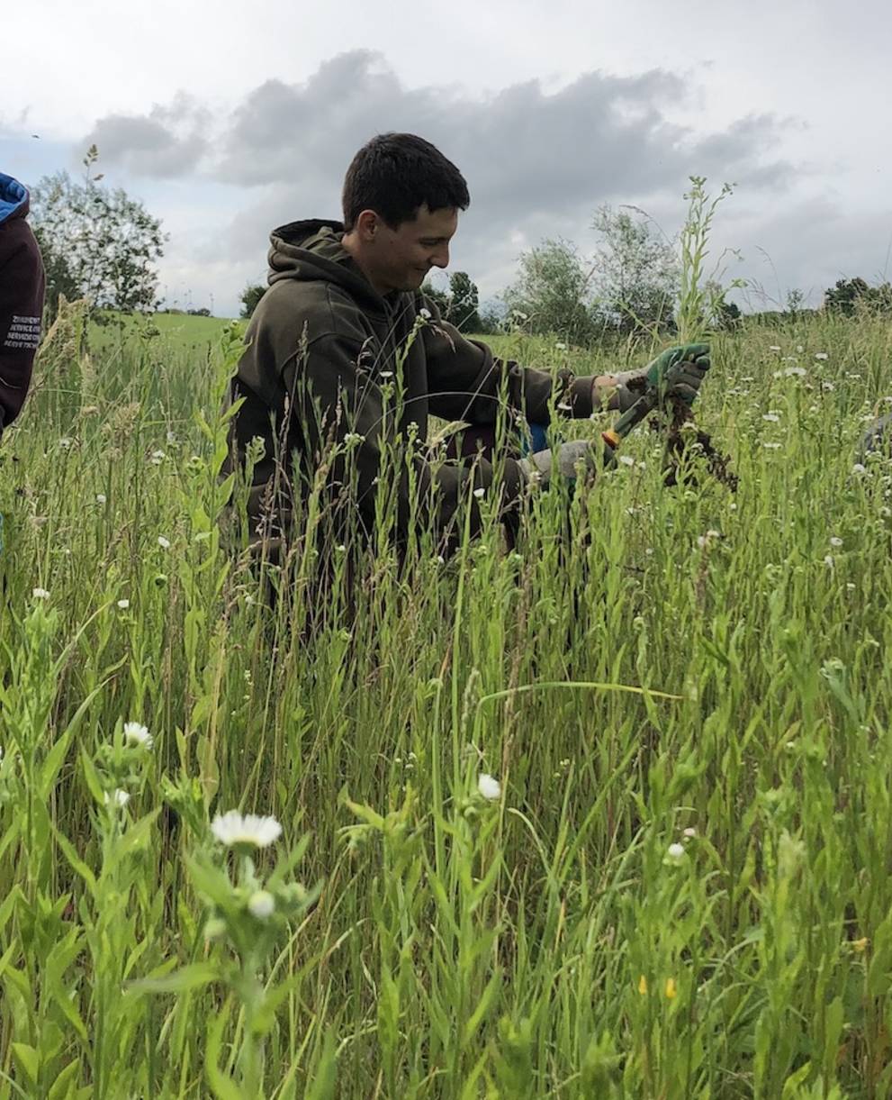 Zivis beim Berufkrautjäten im Pro Natura Schutzgebiet «Grueb» in Triengen. Foto: Marianne Baruffa