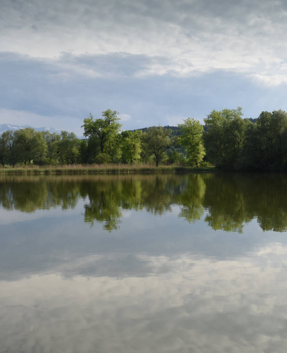 Baldeggersee bei Baldegg - Foto: Pro Natura Luzern