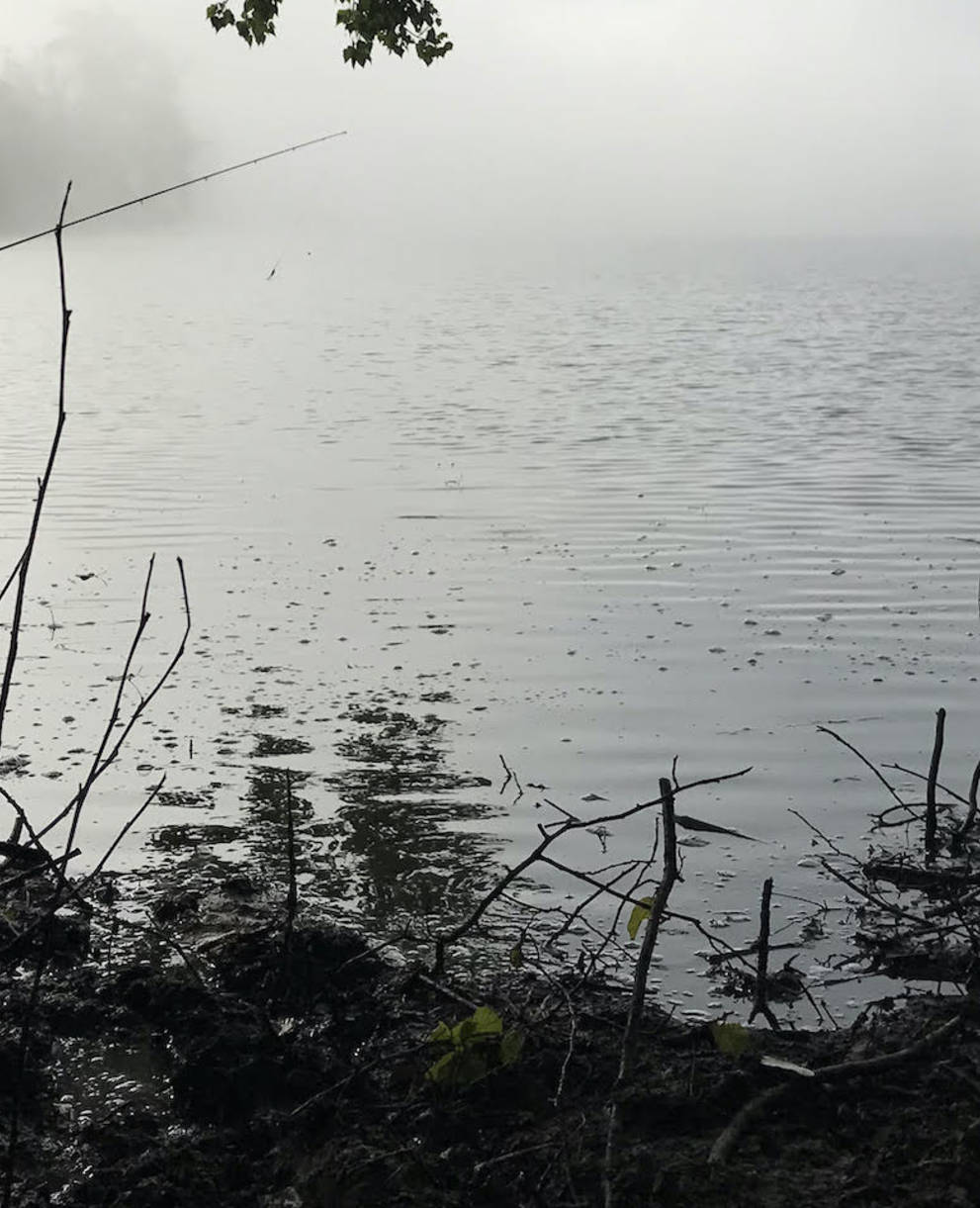 Angeln am Baldeggersee - Foto: Sportfischerverein Baldeggersee