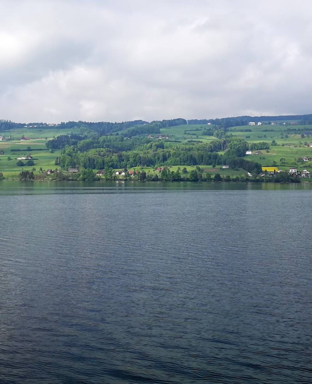 Baldeggersee - die Idylle trügt. Foto: Samuel Ehrenbold