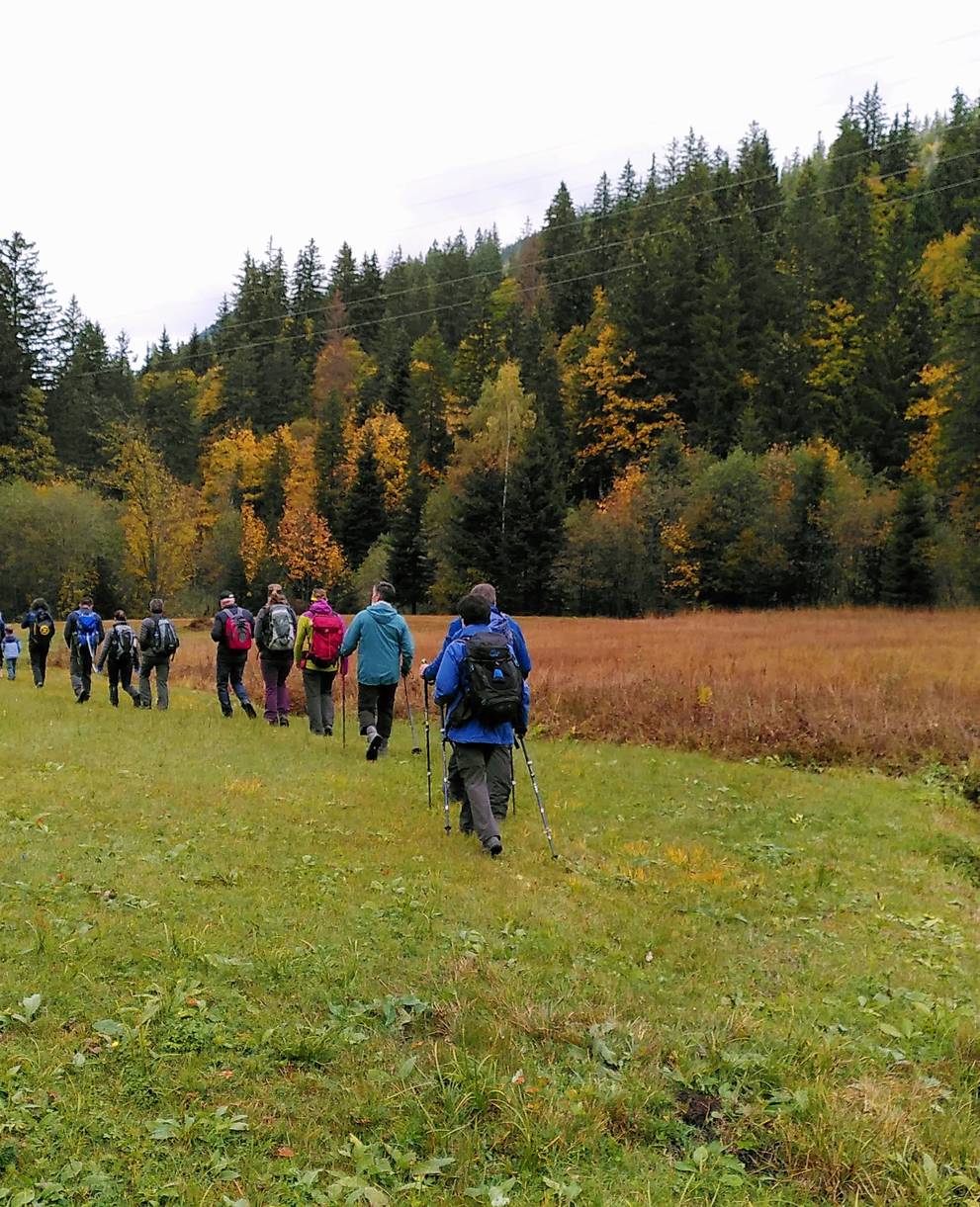 Die Wanderung führte entlang von Hoch- und Flachmooren.