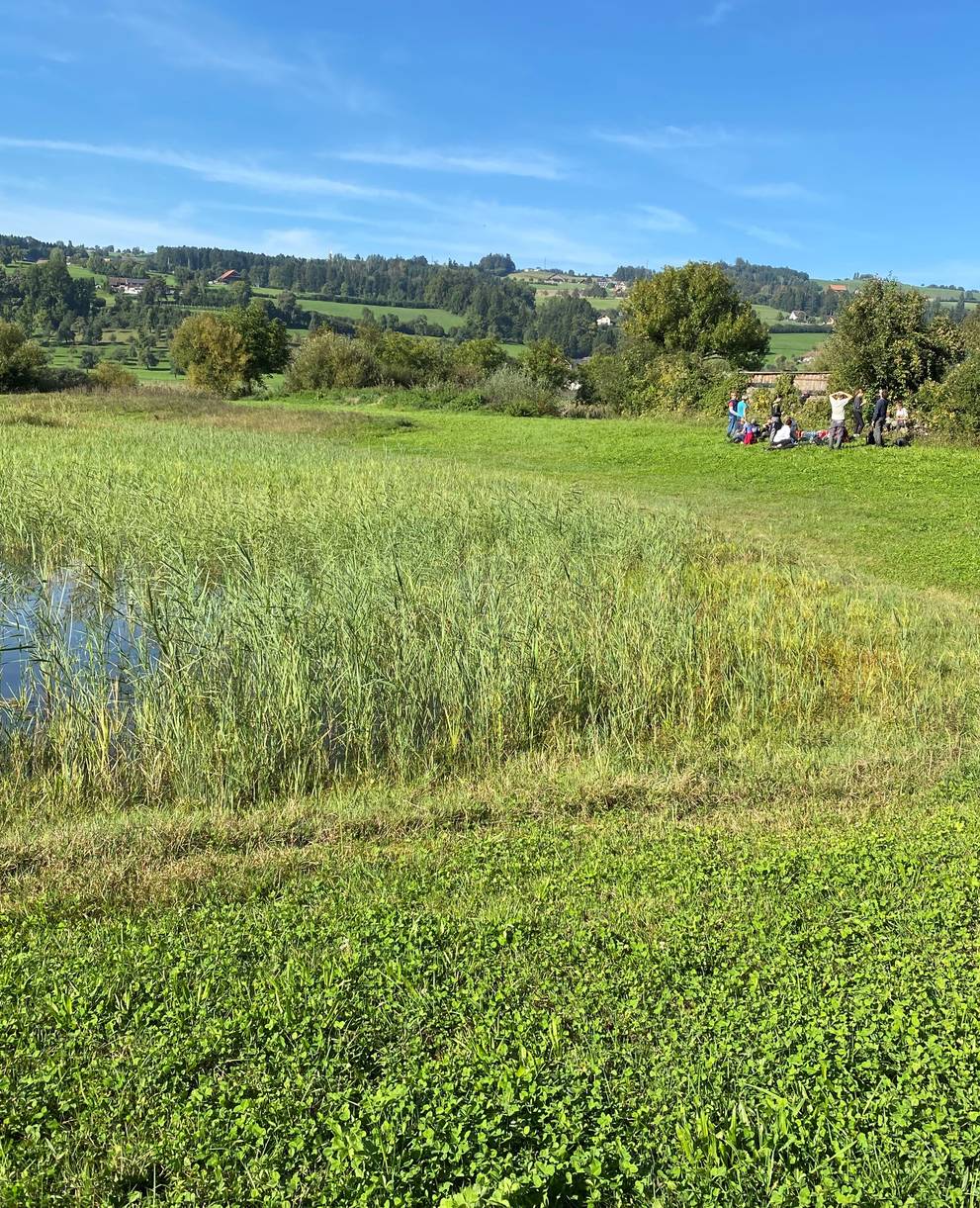 Weiher im Ronfeld