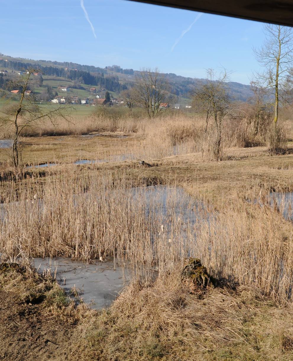 Blick ins Ronfeld