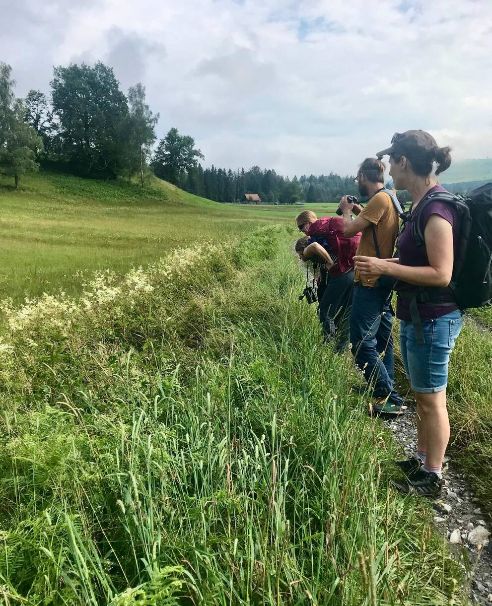 Team auf Wanderung