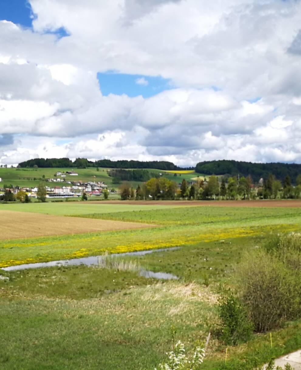 Wauwiler Ebene. Foto: Samuel Ehrenbold