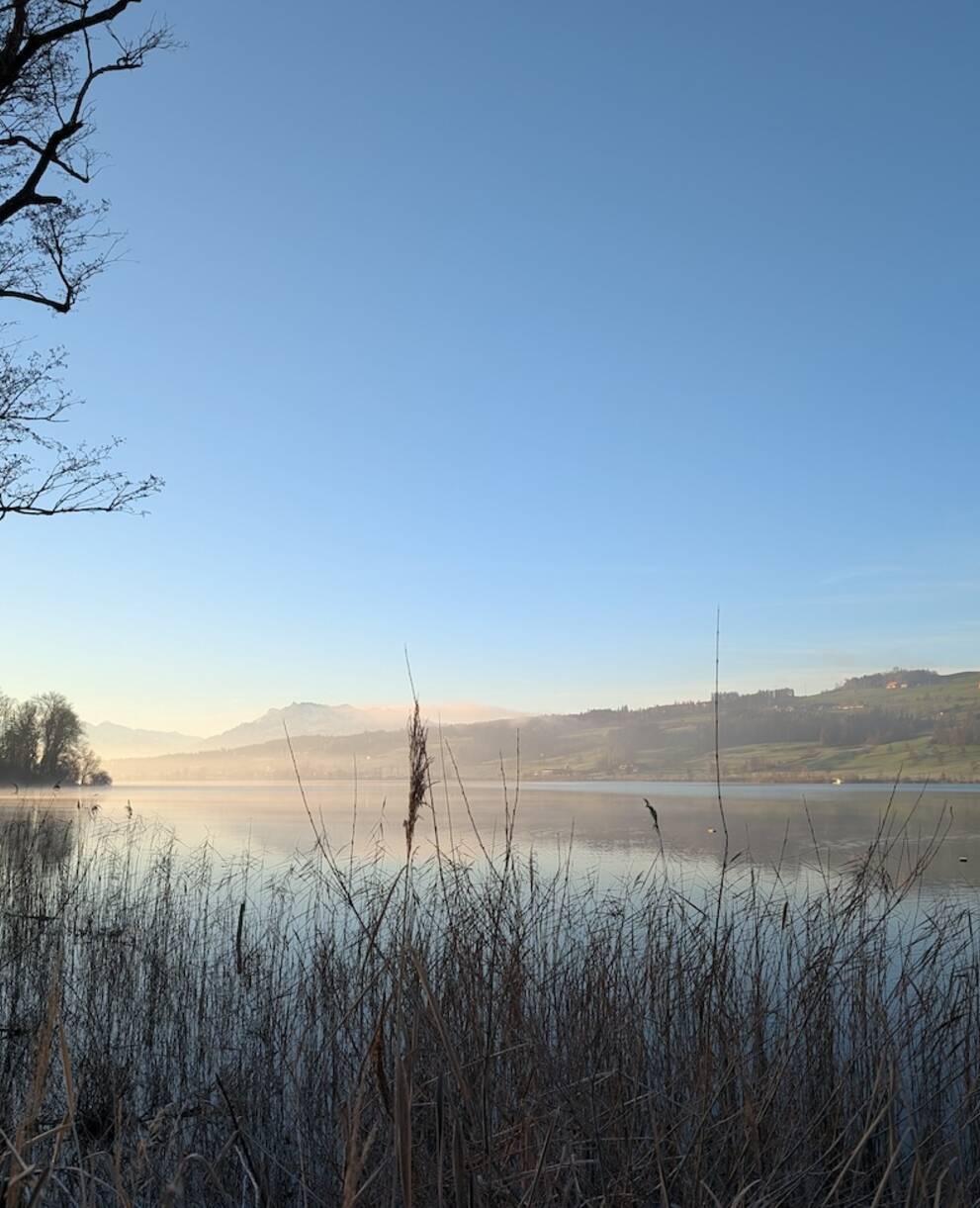 Baldeggersee im Dezember. Foto: Samuel Ehrenbold