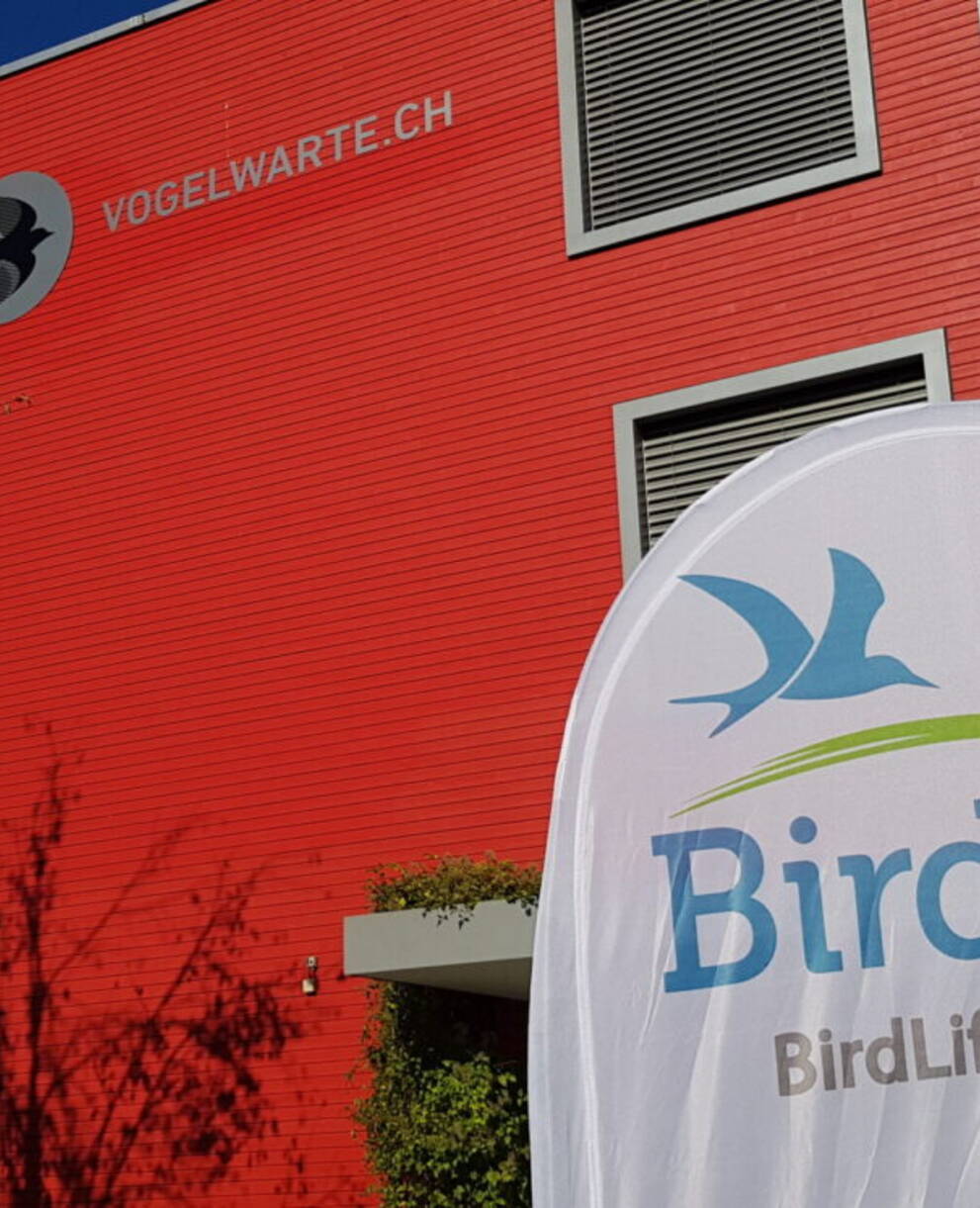 Vogelwarte 